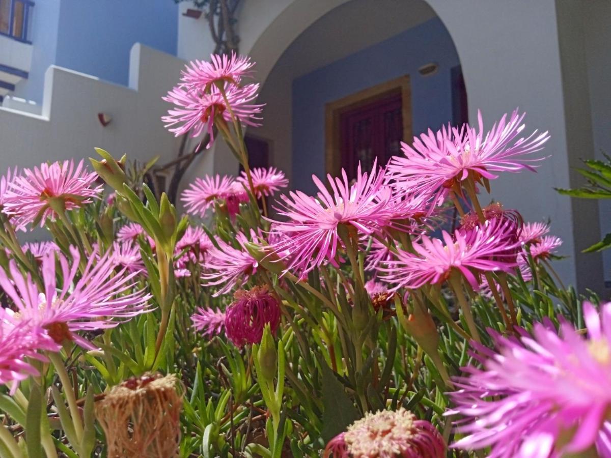 Nefeli Hotel Leros Агия-Марина Экстерьер фото